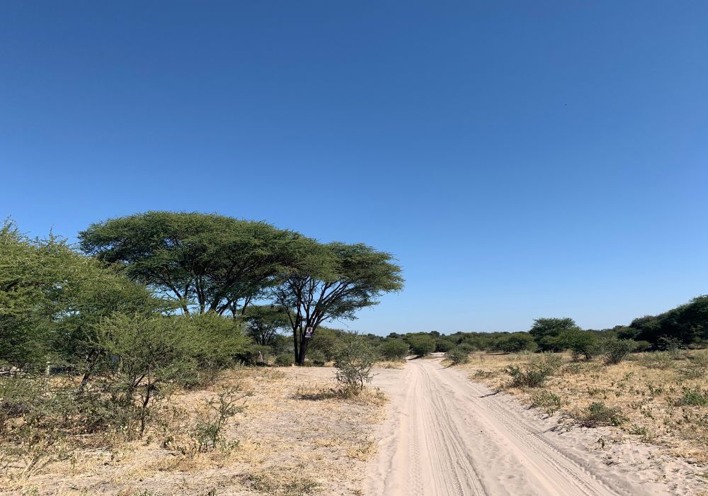 VISAGES ZIMBABWE ET BOTSWANA